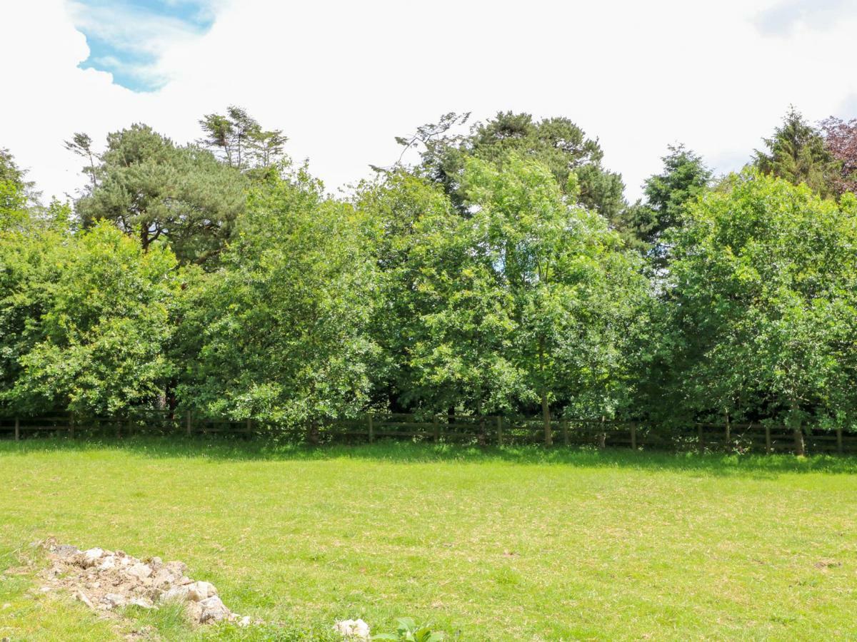The Old White Cottage Shillelagh Εξωτερικό φωτογραφία