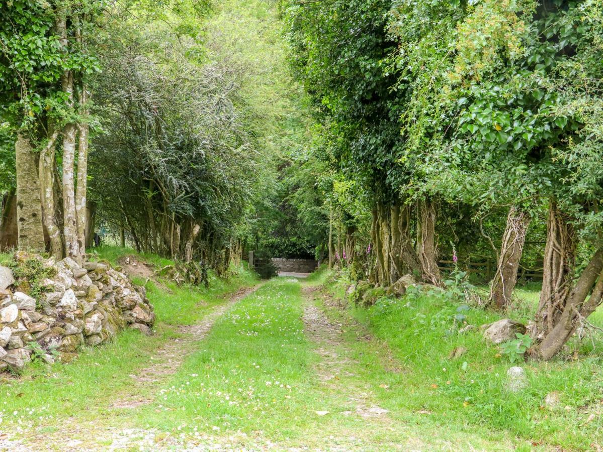 The Old White Cottage Shillelagh Εξωτερικό φωτογραφία